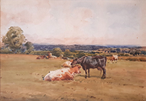 A_Northumberland_Pasture